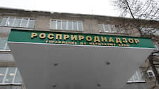 Западно-Уральское межрегиональное управление Росприроднадзора будет базироваться в Перми