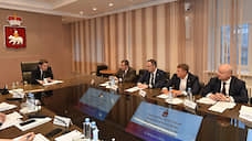 Врио губернатора обсудил проблемы детей-сирот с депутатами Госдумы