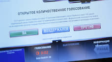 Краевой парламент поддержал законопроект о сборе подписей на «Госуслугах»