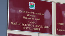 11 депутатов Чайковской Думы нарушили закон о противодействии коррупции