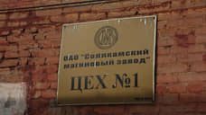 Миноритарии Соликамского магниевого завода остались без дивидендов
