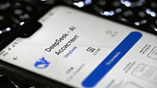 Пермяки стали чаще пользоваться нейросетью DeepSeek