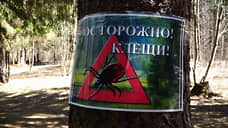 Чаще всего в Прикамье от присасывания клещей страдают жители Пермского округа