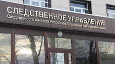После нападения собак на ребенка в Перми возбуждено уголовное дело