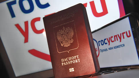 Заксобрание одобрило увеличение объема подписей в поддержку кандидата на губернаторских выборах, собираемых через «Госуслуги»