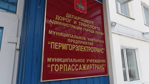 Депутаты гордумы попросили направить им анализ деятельности МУП «ПГЭТ»
