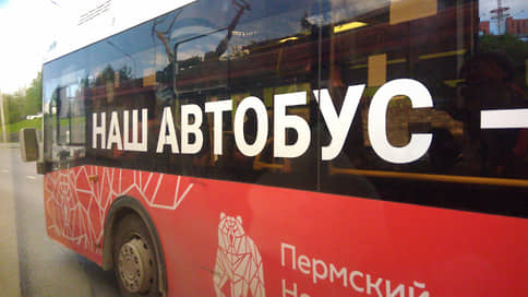 Краевые власти не планируют приватизацию своего перевозчика