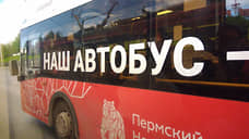 Краевые власти не планируют приватизацию своего перевозчика
