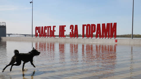 Пермяки стали чаще вывозить за границу животных
