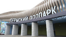 Площадь акватеррариума в новом пермском зоопарке увеличат в два раза