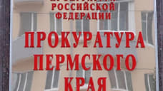 Силовики проводят проверки обстоятельств травмирования детей в квеструме