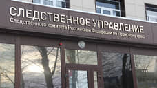 СКР возбудил уголовное дело по факту травмирования детей в квеструме