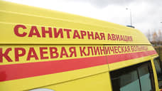 Услуги санавиации в Прикамье будет оказывать близкая к «Ростеху» компания