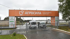 В Перми модернизацию крупной птицефабрики оценили в 1,15 млрд рублей