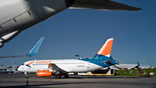 Рейс из Махачкалы в Пермь опаздывает из-за столкновения самолета с птицей