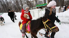 В Перми введут запрет на катание на лошадях вне разрешенных мест