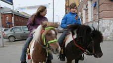 Власти Перми объяснили, где теперь можно кататься на лошадях и пони