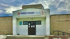 Руководитель Центра занятости населения Прикамья покинула должность