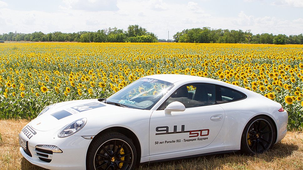 Porsche 911 в поле подсолнухов