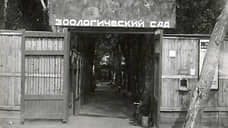Зоо в парк