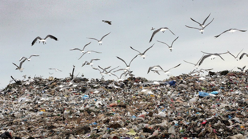 В Перми нет завода, который бы полностью утилизировал поступающие бытовые отходы
