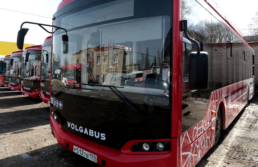 Пермские перевозчики серьезно обновили подвижной состав 
