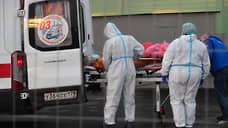 Елин: Петербург вышел на плато по госпитализации пациентов с COVID-19