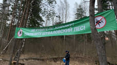 Петербургские депутаты согласились вывести Шуваловский лес из зоны застройки