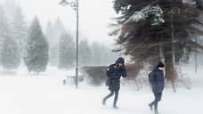 Петербуржцев вновь предупредили об ухудшении погодных условий из-за ветра