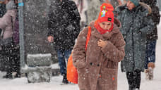 В Петербурге вновь объявлен «желтый» уровень опасности из-за погодных условий