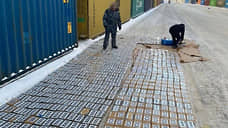 Петербургские таможенники обнаружили более тонны кокаина под люксовым брендом