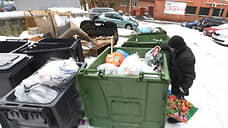 Пушкинский район стал лидером по количеству проблемных мусорных площадок