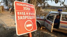Начало пожароопасного сезона в Петербурге наметили на 15 апреля