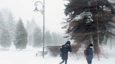 Петербуржцев предупредили о желтом уровне опасности из-за ветра