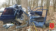 Водитель автомобиля «ВАЗ» погиб после столкновения с деревом в Гатчине