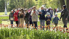 Фестиваль тюльпанов на Елагином острове продлится четыре дня в этом году