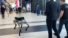 «Сбер» выгулял робота, амурский тигр осмотрел площадку ПМЭФ-2024