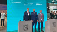 Усть-Лужский контейнерный терминал получит вторую и третью очереди к 2033 году