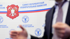 Число кандидатов на пост губернатора Петербурга возросло до 18