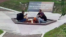 Решившие устроить пикник на вечном огне в Киришах стали фигурантами дела