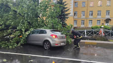 В Смольном перечислили последствия прошедшего в Петербурге шторма