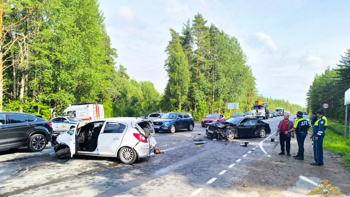 Девушка погибла в ДТП на Новоприозерском шоссе в Ленобласти – Коммерсантъ  Санкт-Петербург