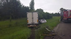 Водитель и его пассажирка погибли в ДТП с грузовиком под Гатчиной