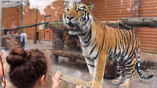 Петербург намерен вернуться к строительству большого зоопарка
