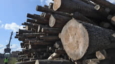 Компания Ебралидзе проиграла ФНС судебный спор по налогам на 323 млн рублей