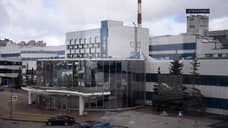 Компания «Балтика» намерена приобрести готовый бизнес для производства снеков