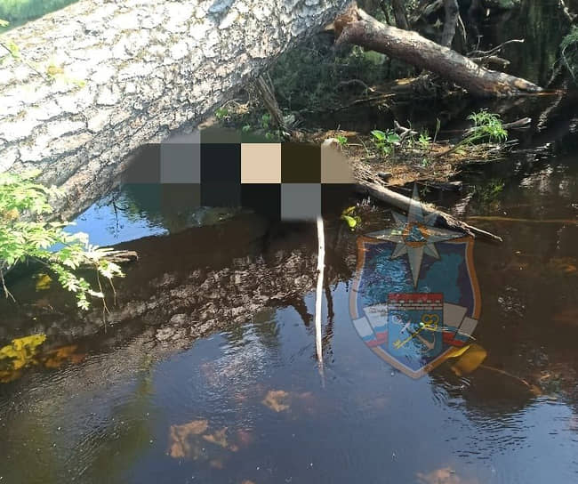 Место гибели водителя упавшего в реку Лидь автомобиля в Бокситогорском районе Ленинградской области
