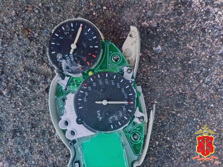 Последствия смертельного столкновения водителя мотоцикла и лося в Ленобласти