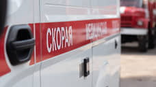 КАМАЗ сбил трехлетнего мальчика в Пушкине, ребенок в тяжелом состоянии