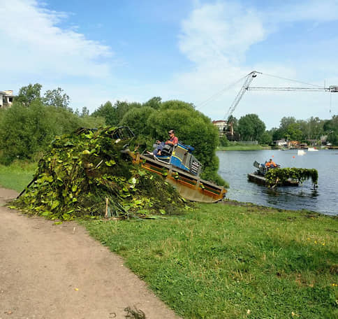 Специалисты начали косить водоросли и чистить дно Среднего Суздальского озера